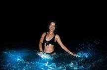 Holbox Guided Bioluminescence Tour with pick up