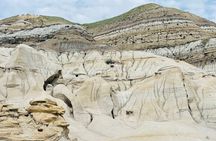 Day of Dinosaurs and Hoodoos From Calgary to the Badlands