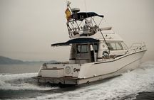 Private Tour with Dolphin Watching in Algeciras Bay