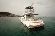 Private Tour with Dolphin Watching in Algeciras Bay