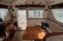 Private Tour with Dolphin Watching in Algeciras Bay