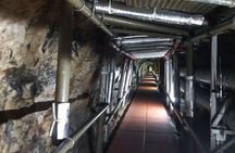 DMZ & Gondola & Suspension Bridge Full Day Tour From Seoul
