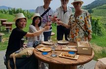 Parma: Parmigiano dairy, Parma Ham, & Wineyard Tour with Tastings