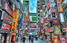 Private Walking Tour in Tokyo - Perfect for First-Time Visitors