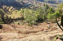 Nagarkot Full-Day Hiking Tour from Kathmandu