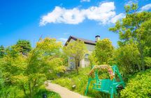 Himeji Castle, Arima Onsen and Mt. Rokko Day Tour from Osaka