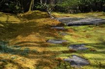 Kyoto: Zen Meditation at a Private Temple with a Monk
