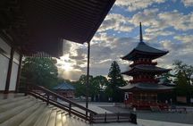 Narita Airport Layover Transit: Guided Private Tour