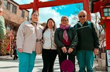 Kyoto Private tour with an Officially Certified Guide