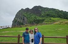 Private Guided Jeju Island Limousine Jumbo Taxi Tour 