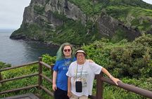 Private Guided Jeju Island Limousine Jumbo Taxi Tour 