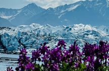 All Day Matanuska Glacier Hike from Anchorage 