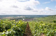 Reims afternoon tour Champagne and family growers