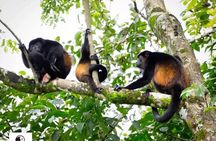 Birdwatching hiking tour