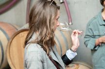  From Reims morning Champagne family growers