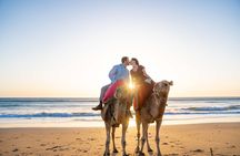 Tangier Full-Day: Medina Secrets, Spartel, Caves, Camels & Meals