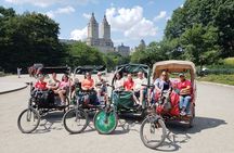 Elf and Home Alone 2 Movie Locations Tour in Central Park
