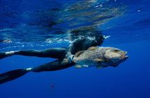 Offshore Fishing or Spearfishing Charter at Playa Herradura