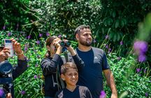 Curi Cancha Reserve Guided Walk