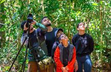Monteverde Cloud Forest Reserve Guided Walk