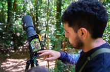 Monteverde Cloud Forest Reserve Guided Walk