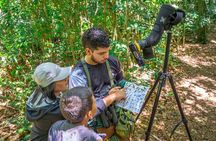 Monteverde Cloud Forest Reserve Guided Walk