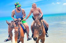 Dunn's River Falls and Horseback Riding Tour from Montego Bay