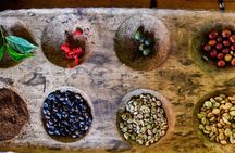 Bean to Cup: Traditional Coffee Preparation in Arusha