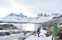 Torres del Paine 3-Day Private Tour