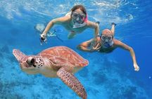 Tour Island Catalina Classic & VIP Sailing into Tropical Splendor