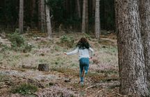 Bainbridge Island Serenity Forest Hike & Cultural Landmarks Tour