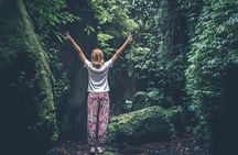 Bainbridge Island Serenity Forest Hike & Cultural Landmarks Tour