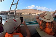 Ballestas Islands and Huacachina Extrema Adventure from Lima