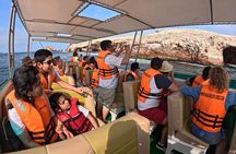 Ballestas Islands and Huacachina Extrema Adventure from Lima