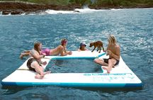 Kona Dolphin Watching and Sea Turtle Snorkel Tour