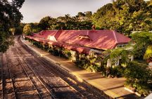 Cairns Kuranda Skyrail and Railway Small group tour