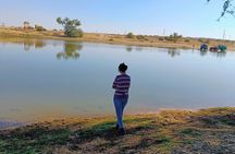 Stay Under The Billions Stars Overnight Camel Safari Tour 