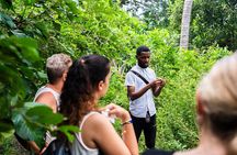 Zanzibar : Half-Day Prison Island and Jozani Forest Tour
