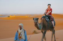 4 Hour Morning Desert Safari with Camel Ride & Sand Boarding