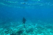 Shimoda Local Guide
