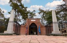 Mount Vernon Guided Estate Tour plus Old Town Alexandria from DC