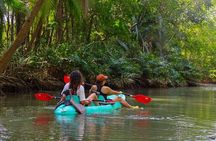 Paddle Through Paradise: Mangrove Kayak Adventure