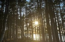 Kayak & Hike Adventure Tour at Peninsula State Park
