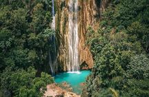 Excursion to Samaná and El Limón Waterfall from Punta Cana 