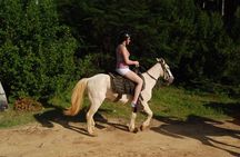 Horseback Riding Tour along the Beaches of Punta Cana
