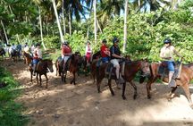 Horseback Riding Tour along the Beaches of Punta Cana