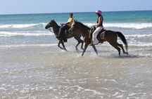 Horseback Riding Tour along the Beaches of Punta Cana