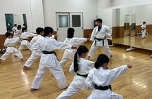 Master the Art of Karate Dynamics
