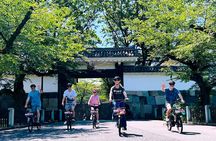 Tokyo 3h: Off the beaten path Ebike tour with knowledgeable guide