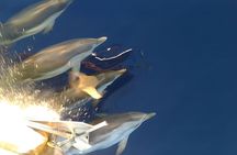 Catania: Boat Trip with Aperitif, Prosecco and Snorkeling